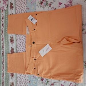 Vince Camuto Vibrant Orange Pants
